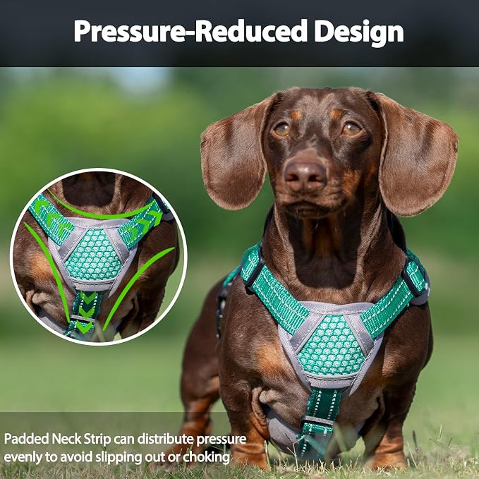 Escape Proof Dog Harness, Dachshund Harness, Reflective Dog Harness with Handle, Durable,Adjustable Vest for Small Medium Large Dogs Walking, Training, and Running Gear (Mint Green,XL)