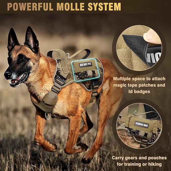 2X Metal Buckle Service Working MOLLE Dog Vest with 10 Pet Patches | Tactical Dog Harness for Large Dog, No-pull Military Working Vest for Training Hunting Walking，2x D Rings for Leash Clip