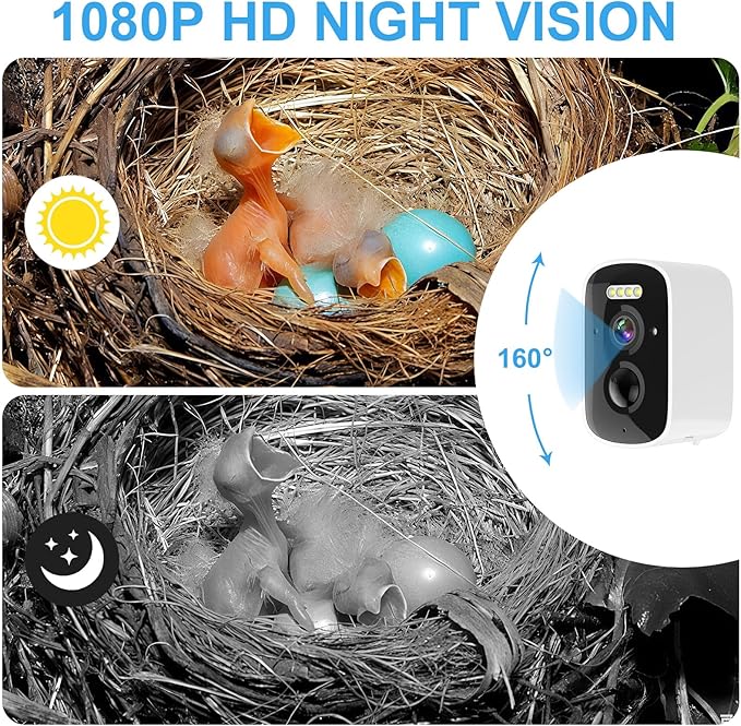 Smart Bird House with Camera Solar Powered, Birdhouse with 1080P HD Camera Wireless, Auto Capture Bird Videos & Motion Detection and App Notify, Wooden Birdhouses for Bluebirds and Sparrows