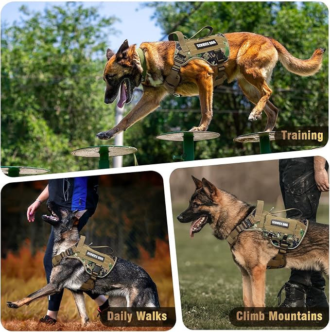 2X Metal Buckle Service Working MOLLE Dog Vest with 10 Pet Patches | Tactical Dog Harness for Medium Dog, No-pull Military Working Vest for Training Hunting Walking，2x D Rings for Leash Clip