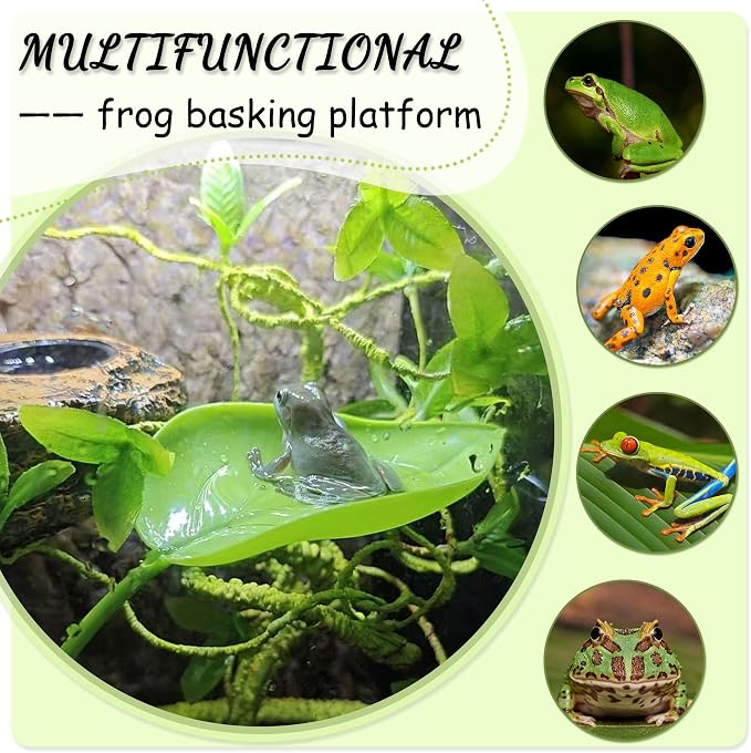 Tree Frog Terrarium Accessories, 3PCS Turtle Basking Platform | Aquarium decor with 3 suction cups, multifunctional reptile tank accessories for leopard gecko, snake, gecko, bearded dragon