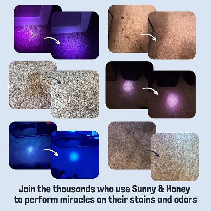 Sunny & Honey Pet Stain and Odor Remover for Carpets, 1 Gallon Lavender | USA Made - Enzyme Cleaner for Dog Urine & Poop - Eliminates Set In Stains - Color Safe - For Rugs, Furniture & Car Seats