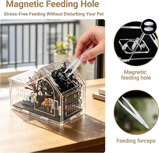 Acrylic Jumping Spider Enclosure Kit 16PCS with Decor | 19-pc gothic decor with dark plants, chain, hideout, for mantis & tarantula