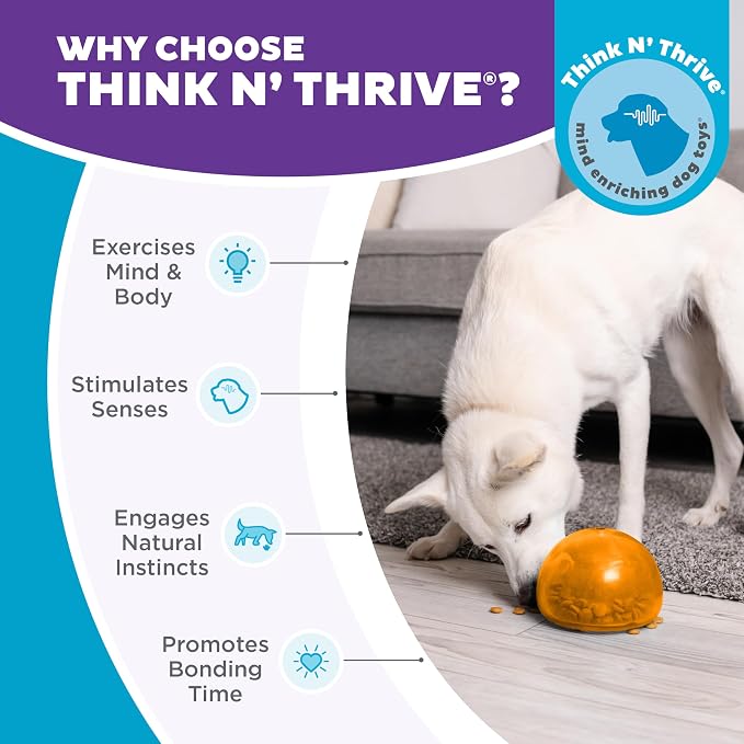 Outward Hound by Planet Dog Snoop Dog Toy – Treat‑Dispenser Puzzle Ball, Interactive Slow Feeder, Medium to Large Dogs, Bouncy & Mint-Infused, Orange, 5"