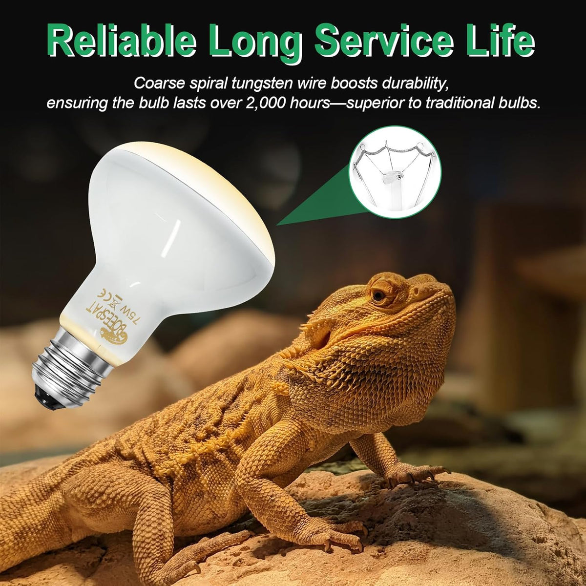 Pack of 2 Reptile Basking Light Bulbs - Incandescent 100W Simulated Sunlight UVA Heat Bulbs for Bearded Dragons, Geckos, Iguanas, Lizards, Amphibians & Small Pets