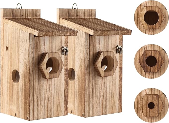 Bird House for Outside –Hanging Birdhouse for Bluebird Finch Swallow Wren Chickadee, Decorative Outdoor Bird Nesting Box with 3 Size Holes, Assembly Required (2)