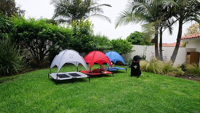 Floppy Dawg Just Chillin' Elevated Dog Bed. Cool Cot with Removable Canopy Shade. Indoor or Outdoor Pet Use. Lightweight and Portable. Chill in Style on Raised Breathable Mesh Fabric.