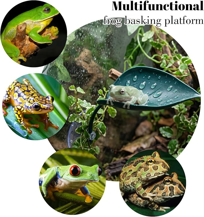 3 Pcs African Dwarf Frog Tank Accessories, Multifunctional Crested Gecko Tank Accessories, PVC Leaf Basking Platform with Suction Cups for African Dwarf Frog & Crested Gecko Tanks (4.8 x 2.8 Inches)