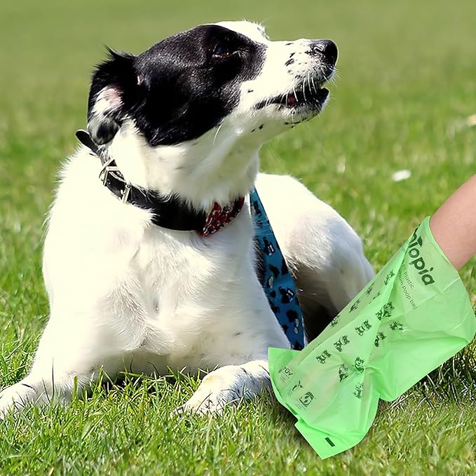 Tear-Free Biodegradable Dog Poop Bags, 240 Compostable Pet Waste Bags Rolls, Plant-Based & Plastic-Free, Extra Thick Leakproof, Unscented, ASTM D6400 & EN 13432 Compliant,Light Green