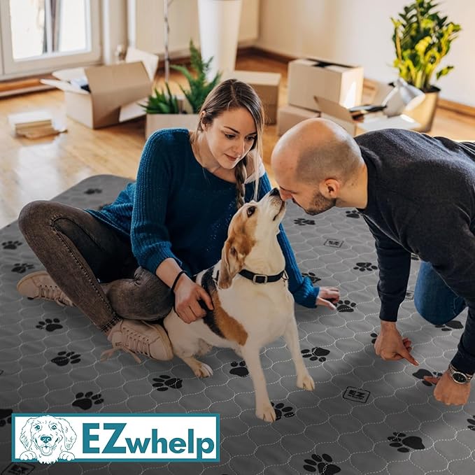 EZwhelp Reusable Quick Dry Pad - Waterproof Pet Pee Pads Washable for Large Dogs - Non-Slip Dog Training Pads, Fast Absorbent - Reusable Potty Pads for Cats and Dogs - 50" x 80" Pack of 1