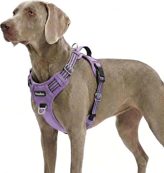 Dog Harness No Pull, Adjustable Pet Vest Harness, Super Soft Material with Vertical Handle Easy Control, Reflective Night Walking, 2 Leash Clips for XLarge Dogs, Purple, XL