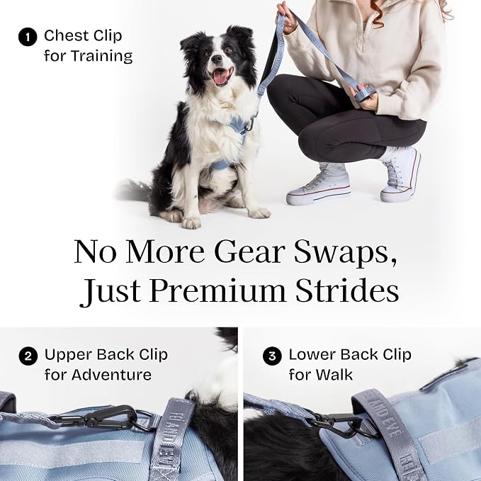 Fei & Eve Classic Dog Harness, MagEase Magnetic Buckle | 3-Point No-Pull Control, Dual Handle Support, 900D Nylon, Tactical Patch Panel, Heavy Duty, Medium, Blue