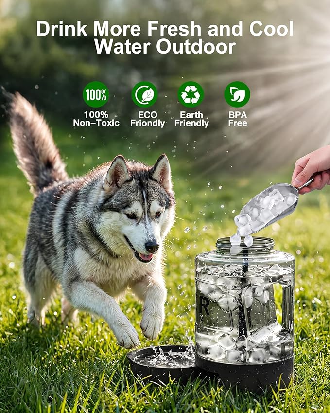 77oz Portable Dog Water Bottle, Camping Essentials, Large Travel Bottle with Pull-Out Drinking Bowl, Portable Beach Accessories, Car Water Container for Dogs, BPA Free - Black