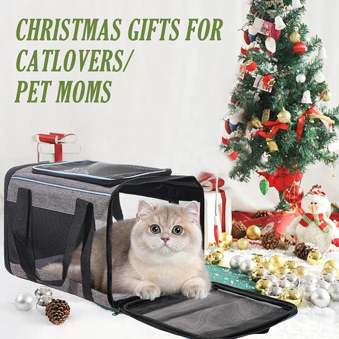 Vivicreate Cat Carrier Airline Approved Soft Sided Pet Carrier for Cats and Small Dogs Portable Travel Cat Bag with Mesh Ventilation Safety Leash and Shoulder Strap up to 15 lbs