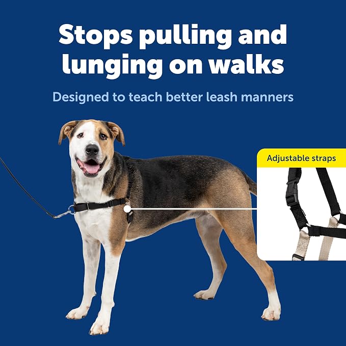 PetSafe Easy Walk Harness, No Pull Dog Harness, Black, Extra Large | Patented Martingale Loop Gives Gradual Shoulder Pressure to Stop Pulling, Front-Chest Leash Clip Prevents Gagging