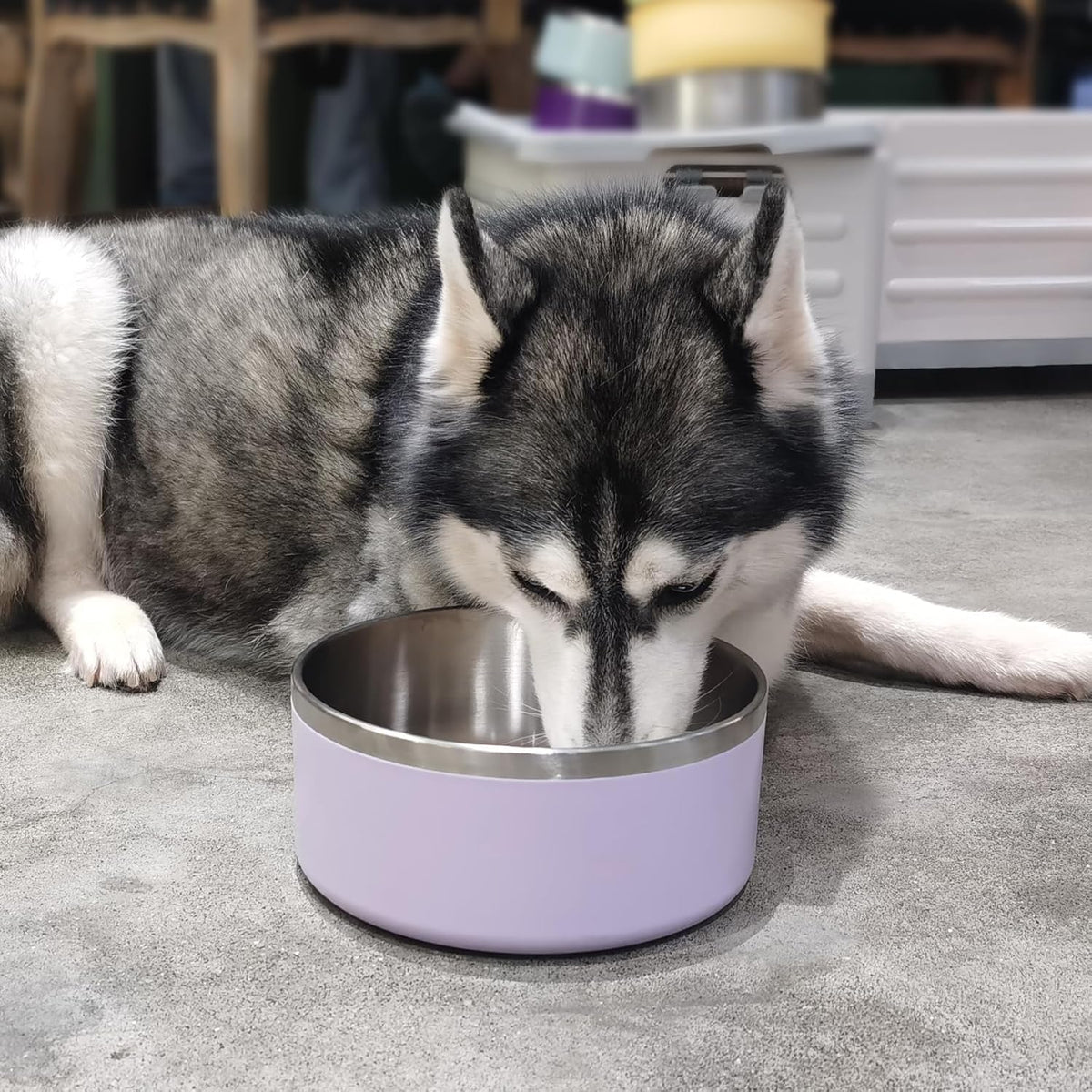 Stainless Steel Dog Bowls, Metal Dog Bowls, Water Bowl for Dogs, Dog Food Bowls, Pet Bowls for Dogs, Dog Dish for Large Dogs, Insulated Dog Bowl, Non Slip Dog Bowl,Easy Clean,64oz,LightPurple