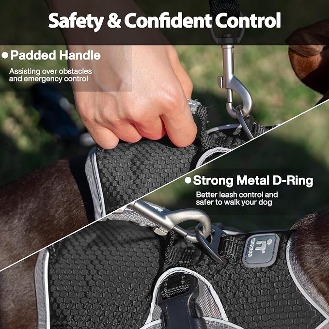 Escape Proof Dog Harness, Dachshund Harness, Reflective Dog Harness with Handle, Durable,Adjustable Vest for Small Medium Large Dogs Walking, Training, and Running Gear (Black,XL)