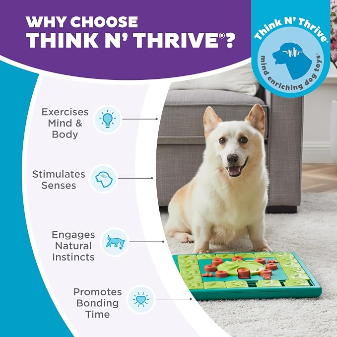 Outward Hound by Nina Ottosson MultiPuzzle – Interactive Dog Treat Puzzle Enrichment Toy, Level 4 Expert