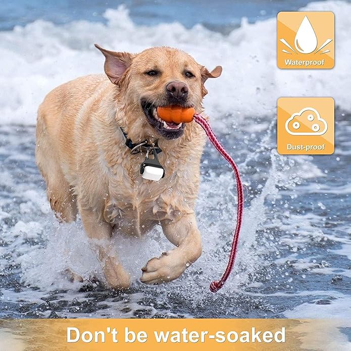 Dog Lights for Night Walking, Clip on Dog Collar Light - 3 Modes, USB-C Rechargeable, IP65 Waterproof, LED Safety Light for Running, Camping, Climbing, Bike