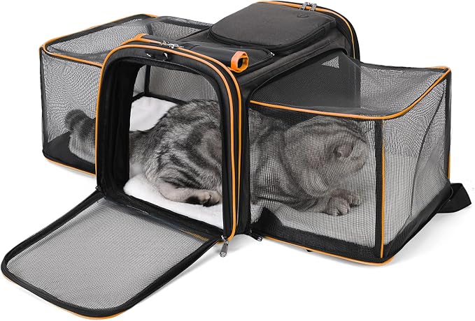 Expandable Airline Approved Pet Carrier - Collapsible Soft Sided Cat & Dog Travel Carrier with Mesh Windows & Adjustable Strap (Tangerine)