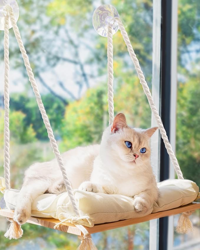Cat Window Perch with Industrial-Grade Suction Cups - Solid Pine Wood Hammock Bed, Soft Cushion - 42 lb Capacity for Cats Inside