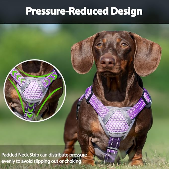 Escape Proof Dog Harness, Dachshund Harness, Reflective Dog Harness with Handle, Durable,Adjustable Vest for Small Medium Large Dogs Walking, Training, and Running Gear (Lavender Purple,S)