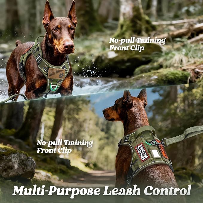 rabbitgoo Tactical Dog Harness for Large Dogs, No Pull Service Pet Vest | Military Molle System & Easy Control Handle, Adjustable and Reflective for Walking and Training, Green Camo, X-Large