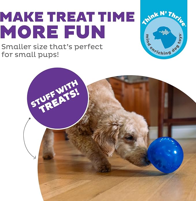 Outward Hound by Planet Dog Lil' Snoop Dog Toy – Treat‑Dispenser Puzzle Ball, Interactive Slow Feeder, Small to Medium Dogs, Bouncy & Mint-Infused, Blue, 3.9"