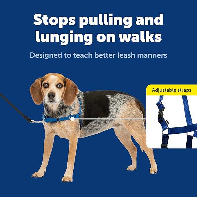 PetSafe Easy Walk Harness, No Pull Dog Harness, Royal Blue, Small/Medium | Patented Martingale Loop Gives Gradual Shoulder Pressure to Stop Pulling, Front-Chest Leash Clip Prevents Gagging