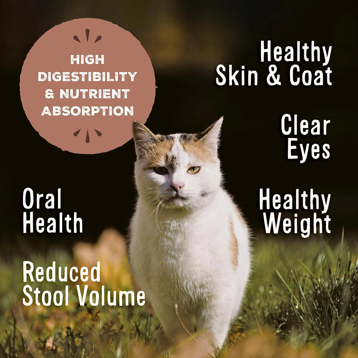 Primal Freeze Dried Raw Cat Food Nuggets Turkey, Complete & Balanced Meal or Topper, Premium, Healthy, Grain Free, High Protein Raw Cat Food with Probiotics (14 oz)