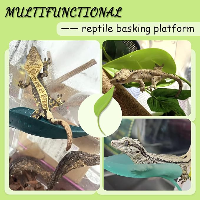 Tree Frog Terrarium Accessories, 3PCS Turtle Basking Platform | Aquarium decor with 3 suction cups, multifunctional reptile tank accessories for leopard gecko, snake, gecko, bearded dragon