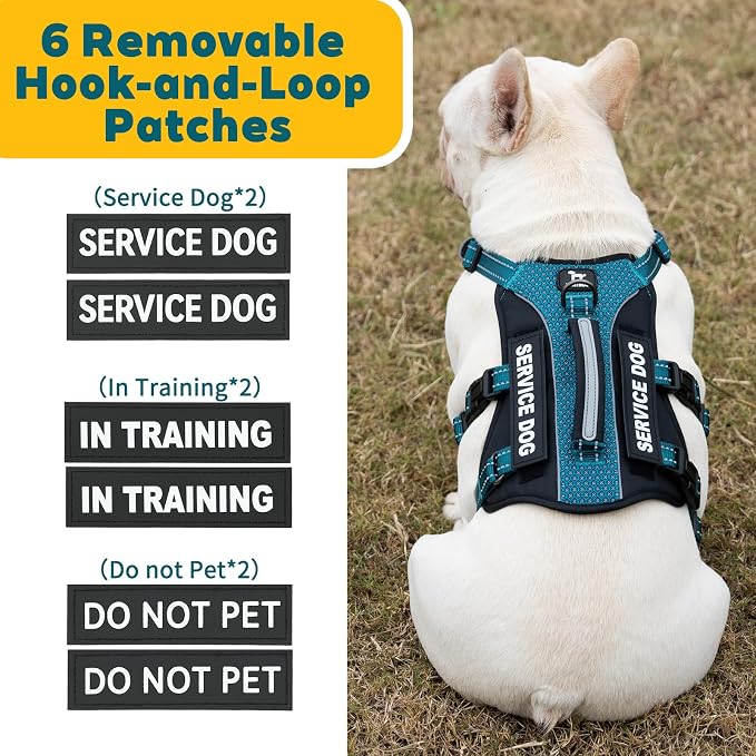 Service Dog Vest Harness, Escape Proof Harness with 6 Patches, No-Pull, Reflective Harness with Handle, Adjustable for Small to Large Dogs, for Training and Hiking (Teal, L)