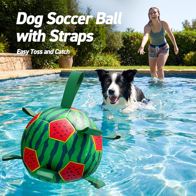 QDAN Dog Water Pool Toys: Dog Soccer Ball with Straps, Waterproof Dog Balls Swimming Beach Balls for Summer Outdoor Games (6 Inch)