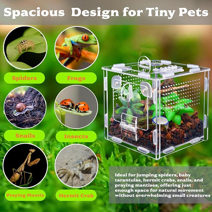 Jumping Spider Enclosure, Small Reptile Terrarium for Tarantula Hermit Crab Praying Mantis, Acrylic Insect Habitat with Magnetic Front & Top Opening (4.52" x 4.52" x 4.52")