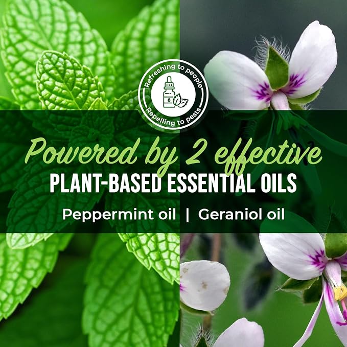 Mighty Mint Peppermint Oil Roach Repellent Spray – Natural Cockroach Killer for Indoor & Outdoor Use – Plant-Based Insect & Pest Control – 16 oz