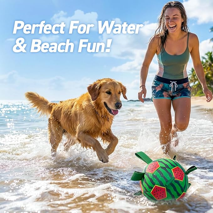 QDAN Dog Water Pool Toys: Dog Soccer Ball with Straps, Waterproof Dog Balls Swimming Beach Balls for Summer Outdoor Games (6 Inch)