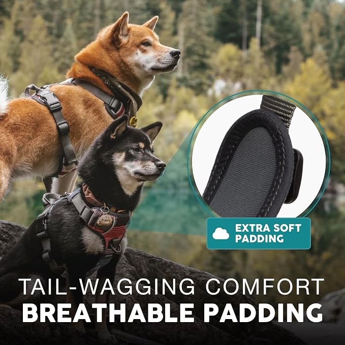 Embark No Pull Dog Harness, Reflective Adjustable Training Vest, No Choke | Adjustable straps fit all dog breeds with sturdy hooks; 360° reflective trim, soft padded Harness Design for All Dogs