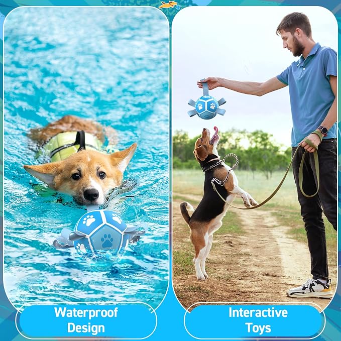 QDAN Small Dog Balls, 5 Inch Dog Soccer Ball with Straps, Outdoor Dog Toys, Pet Training Soccer for Small Medium (5 Inch)
