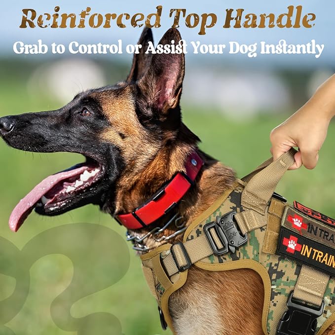 rabbitgoo Tactical Dog Harness X-Large, Heavy Duty Military No Pull Vest | Sturdy Metal Buckles, 5 Adjustments, Molle System, Powerful Pullers for Training, Hunting, Outdoor, Brown Camo, X-Large