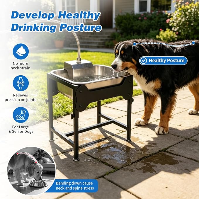 3 Gallon Outdoor Automatic Dog Water Dispenser, 4-Height Stand | Dog Water Bowl Dispenser, Auto-Refill Float Valve, Stainless Steel Bowl, Outdoor Livestock Use, 4 Heights, 14 x 10.6 x 5.9 in