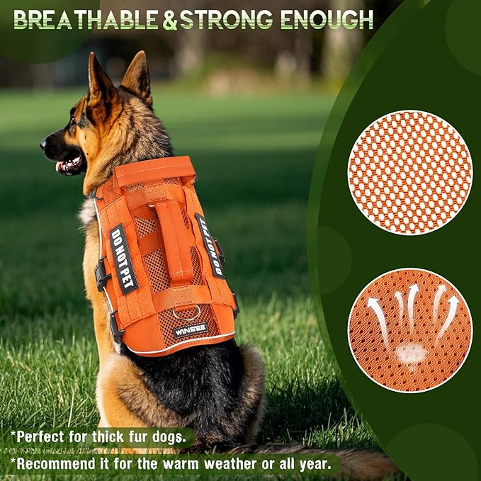 Tactical Molle Vest Mesh Dog Harness with 10 Removale Pet Patches | Breathable Service Dog harness with Double Soft Padded Handle for Large Dog, Reflective Military Pet Vest for Walk Hiking