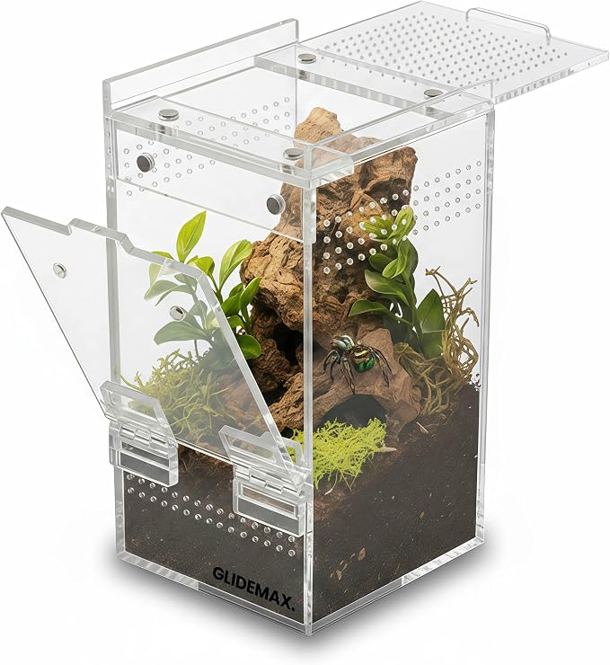 Jumping Spider Enclosure - 3x3x6 Acrylic Tarantula Enclosure Reptile Habitat with Front & Top Magnetic Doors, 0.04" Ventilation Holes Pre-Assembled Terrarium for Spiders, Mantis, Snails, Lizards