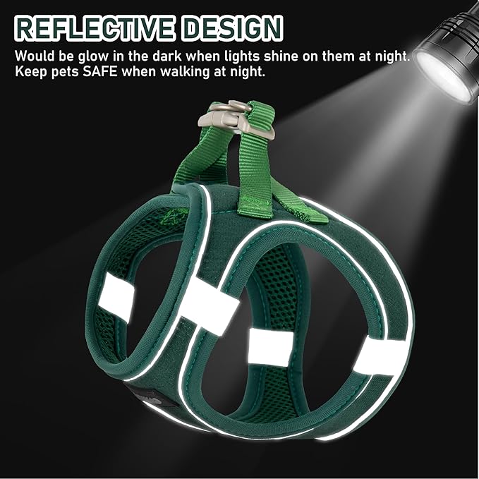 GAMUDA Small Pet Harness Collar and Leash Set, Step in No Chock No Pull Linen Fabric Soft Mesh Dog Vest Harnesses Reflective for Dogs Puppy Cats Kitten Rabbit (Green, S)