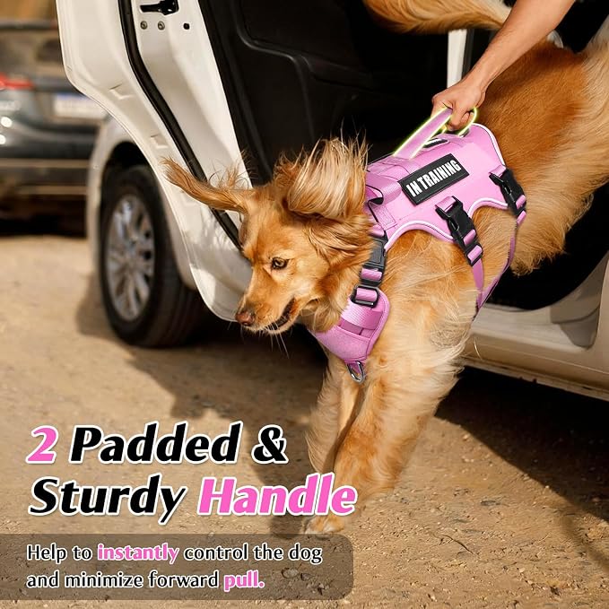 Escape Proof Dog Harness with Double Handle+4 Removable Patches | Service Working Molle Harness with Double Handle for Medium Dogs, Tactical Pet Reflective Vest for Walking Hiking Hunting