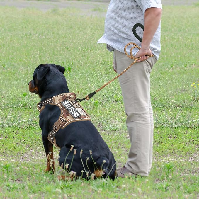 Beebiepet Heavy Duty Tactical Dog Harness for Small Dogs, No Pull Adjustable Pet Harness Reflective Service Training Easy Control Pet Vest Military K9 Working Dog Harnesses- Large, Desert Camo