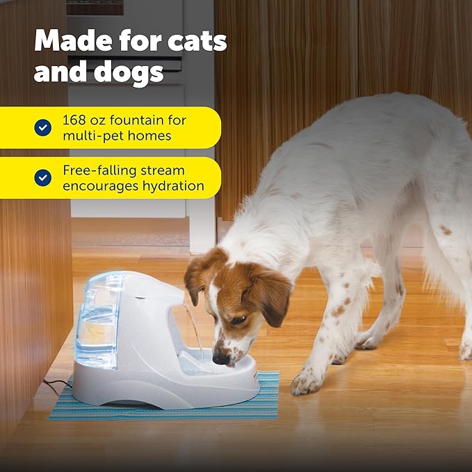 PetSafe Drinkwell Platinum Cat Water Fountain - Pet Fountain for All Pet Sizes, Encourages More Drinking, Includes 12-Pack of Replaceable Carbon Filters, Indoor Use, Grey (168 oz/5L)