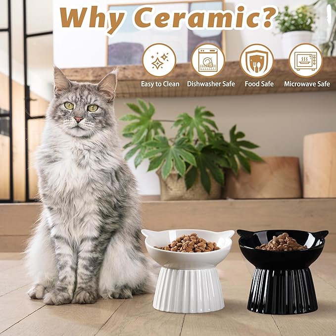 Ceramic Raised Cat Bowl，Tilted Raised Bowl Anti Vomit Bowls for Indoor Cats Whisker Friendly Pet Feeder for Cats Puppies, Microwave and Dishwasher Safe