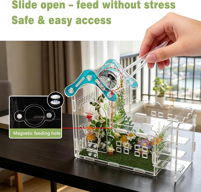 29-in-1 Jumping Spider Enclosure Kit, Acrylic Arboreal Terrarium with Magnetic Front Opening & Sliding Top, Staircase Mushroom Decor, Small Reptile Habitat for Mantis Tarantula Snail