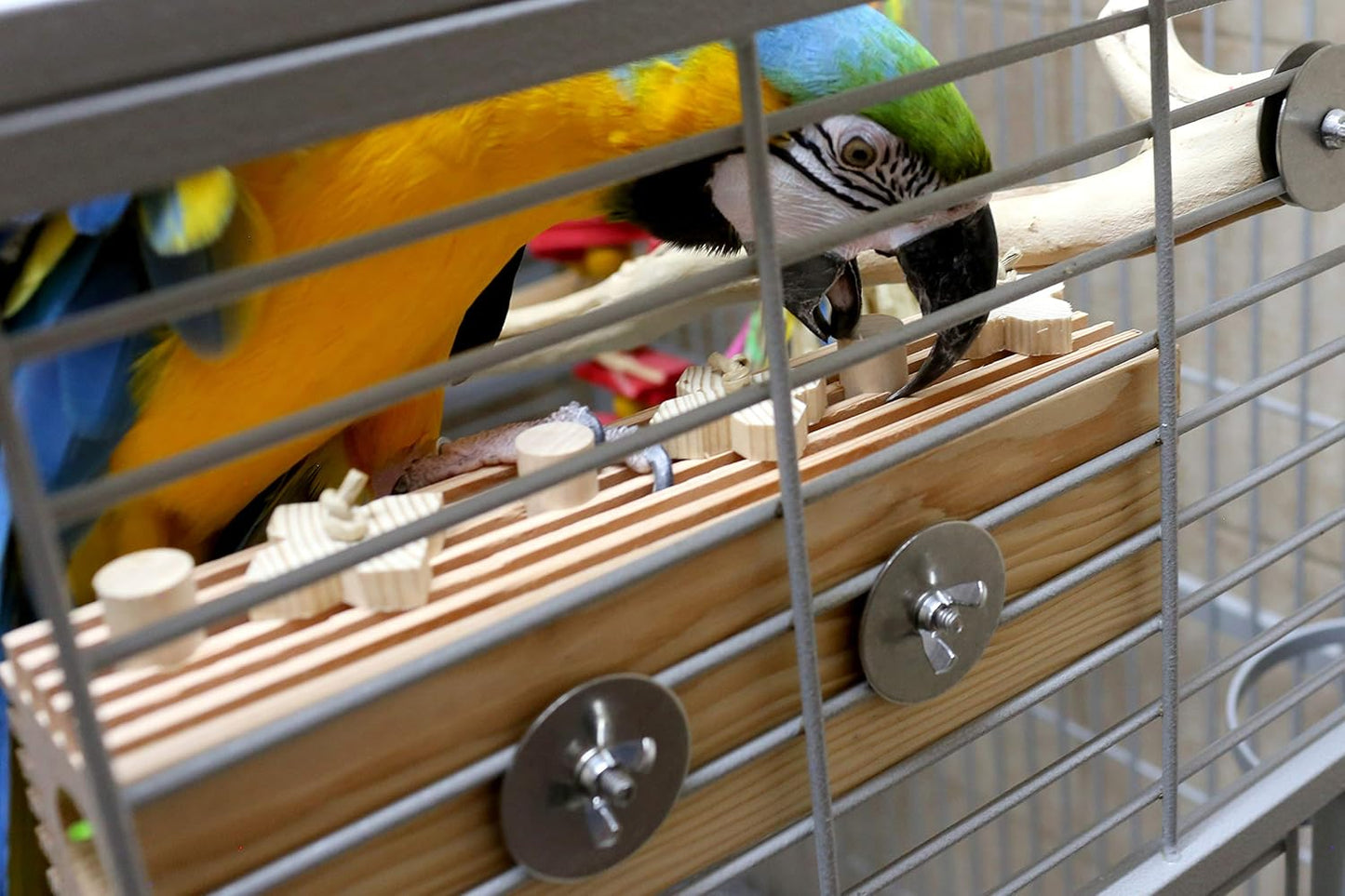Activity Block - Large Parrot Toy