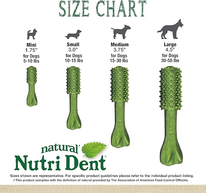 Nylabone Nutri Dent Dog Dental Treats - Natural Dog Teeth Cleaning & Breath Freshener - Dental Treats for Dogs - Fresh Breath Flavor, Medium (40 Count)